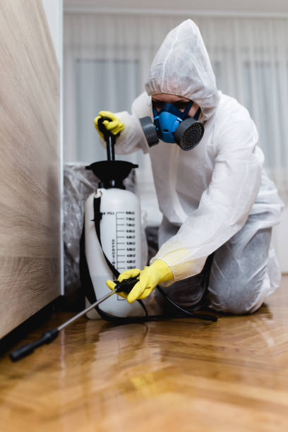 Best Pest Control for Multi-Family Homes  in Valley Falls, RI